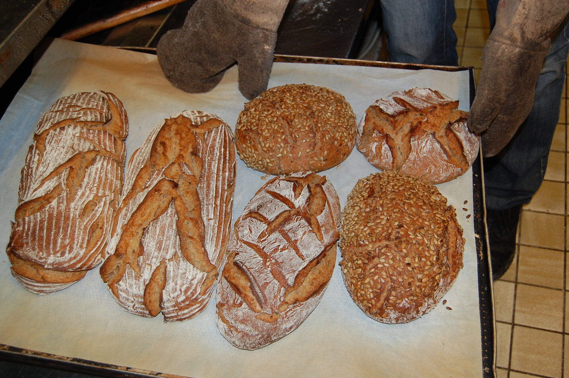 Bilder Brotbackkurse Walzel