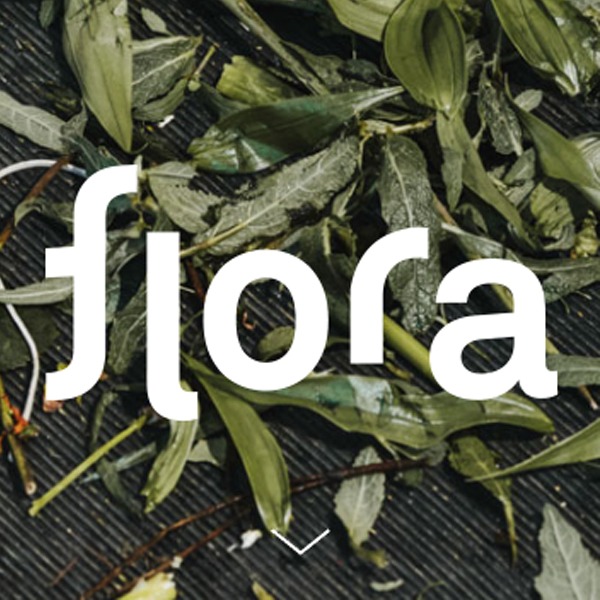 Logo von Flora - Blumenmomente