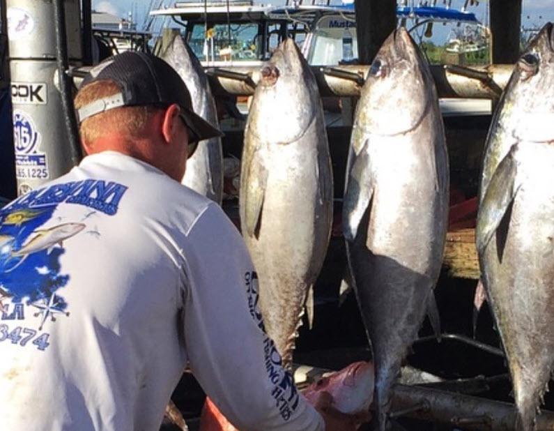 Images Captain Troy Wetzel - Louisiana Offshore Fishing Charters