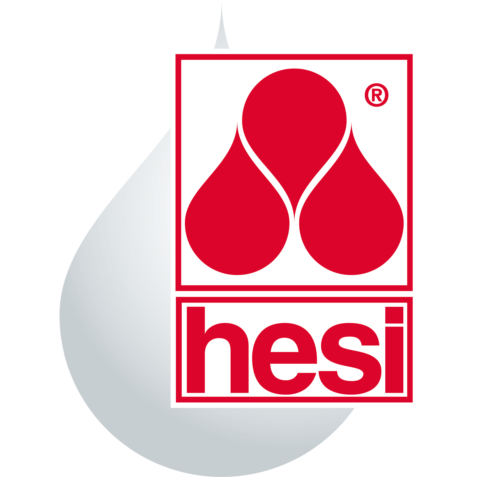 Hesi Logo