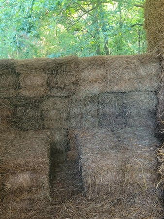 Images Holt's Feed Store