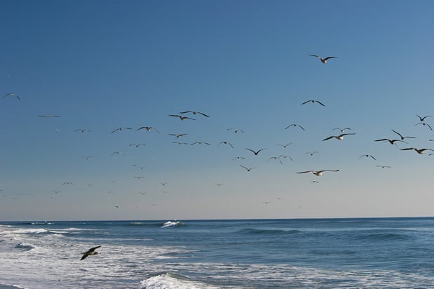 Images Holiday Inn Express & Suites Carpinteria by IHG