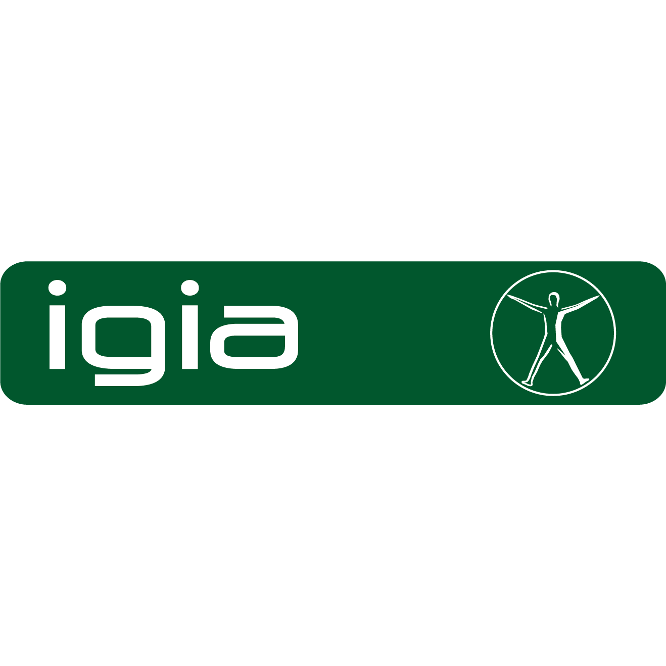 igia Physiotherapie und Heilgymnastik Salzburg Aigen Logo