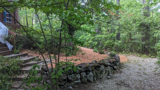 Images Continuity Landscape Services