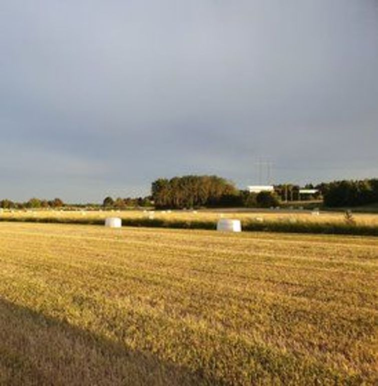 Images Leejs Foder AB