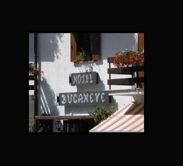 Images Hotel Bucaneve