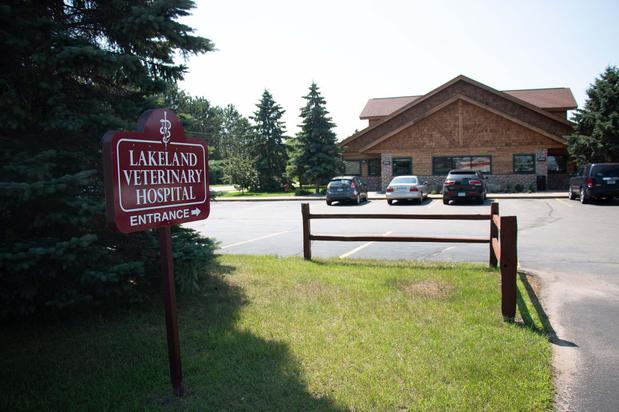Images Lakeland Veterinary Hospital