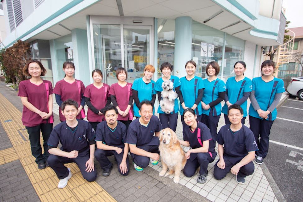 Images 湘南リーシュ動物病院
