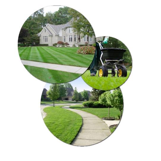 Southern Blue Lawn & Landscaping