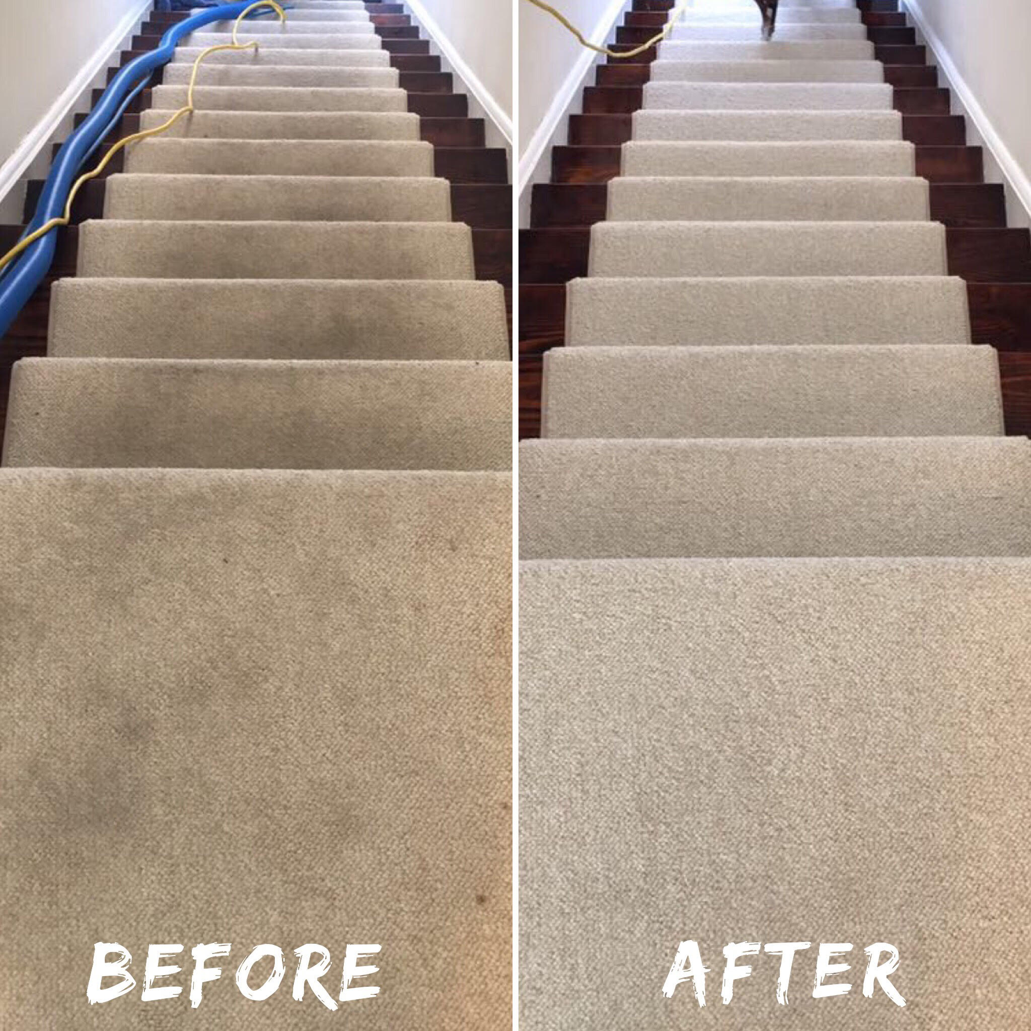 Staircase Cleaning, Stain Removal, Carpet Cleaning, Area Rug Cleaning