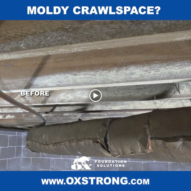 Images Ox Foundation Solutions