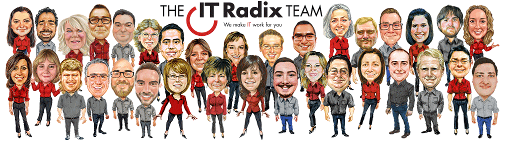 The IT Radix Team