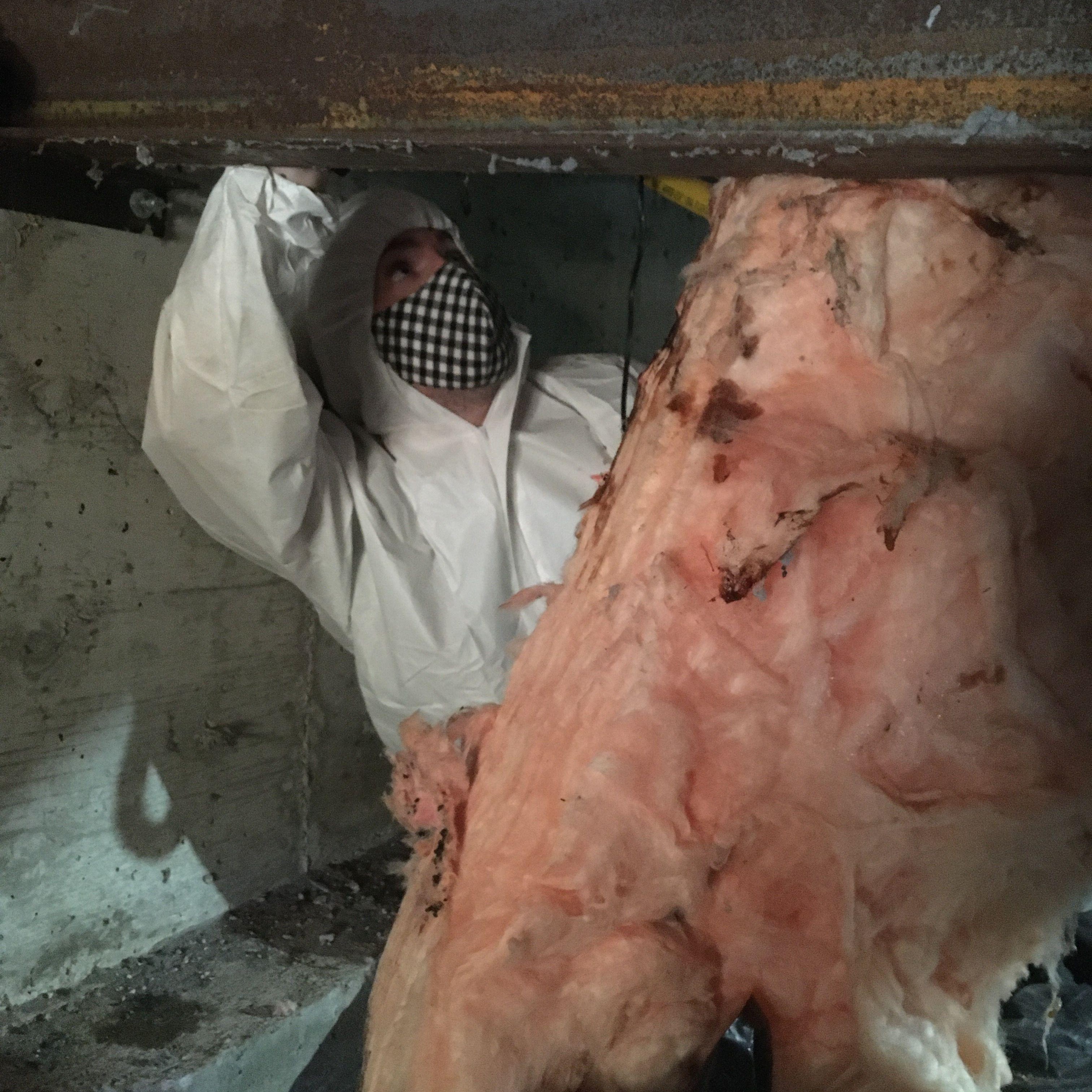 Mold Remediation in a Crawlspace