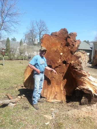 Images Ron'z Tree Service LLC