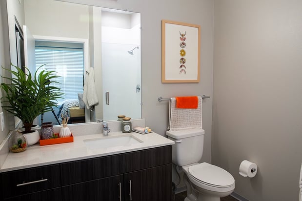 Images The Banks Student Living