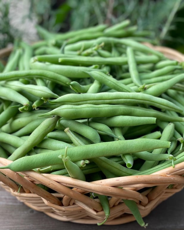 Images Edible Gardens Inc