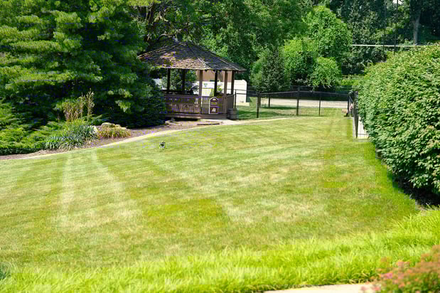 Images Suson Pines Apartments