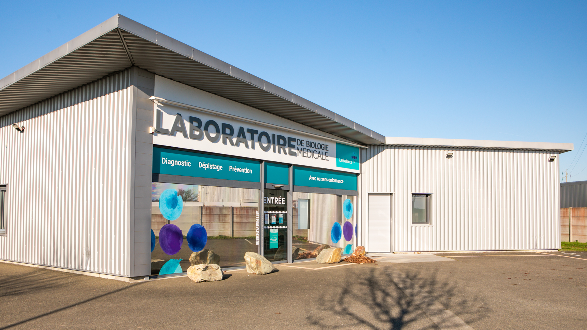 Miniature de la galerie