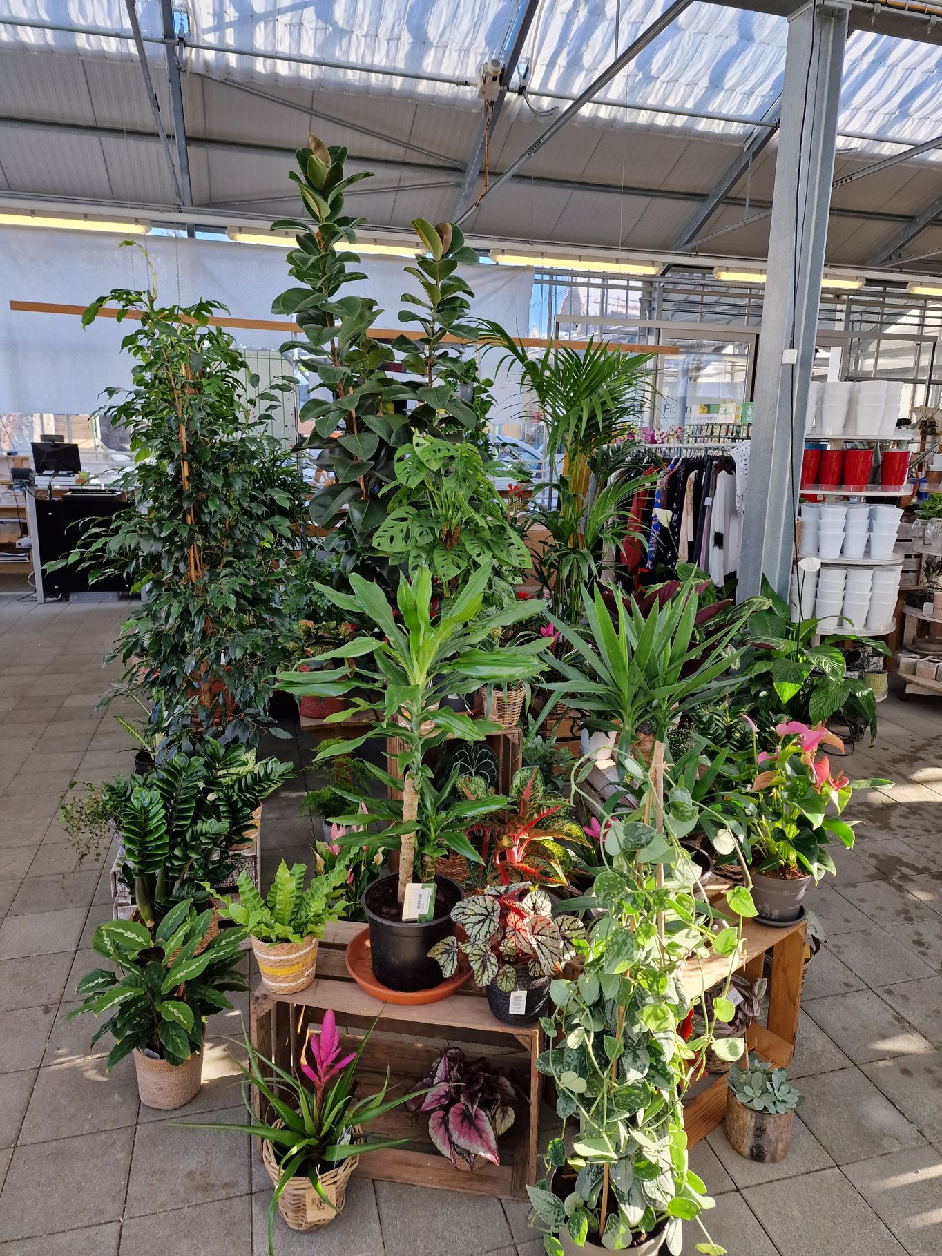 Bilder Jardinerie Fleuristerie Hämmerli SNC