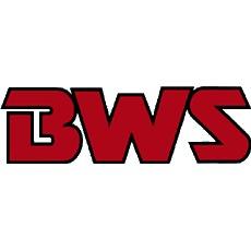 Logo BWS GmbH Inh. Lars Petersen