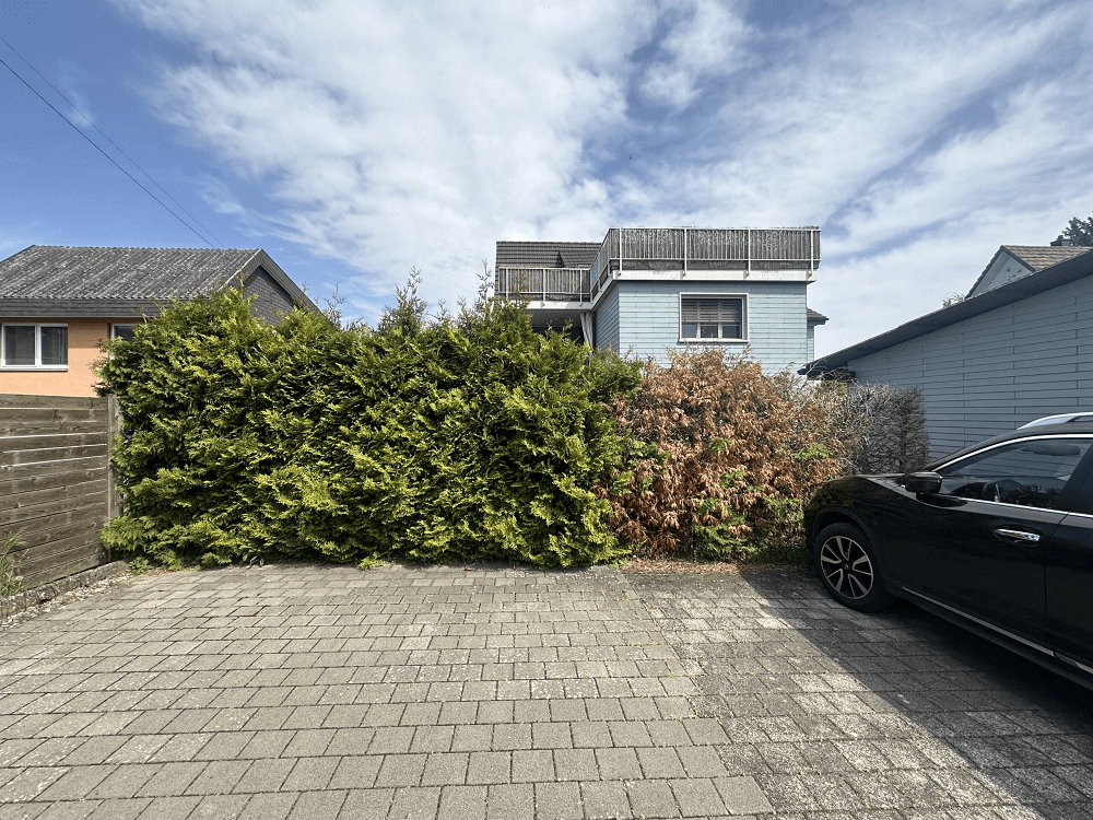 Bilder Lang Hauswartung