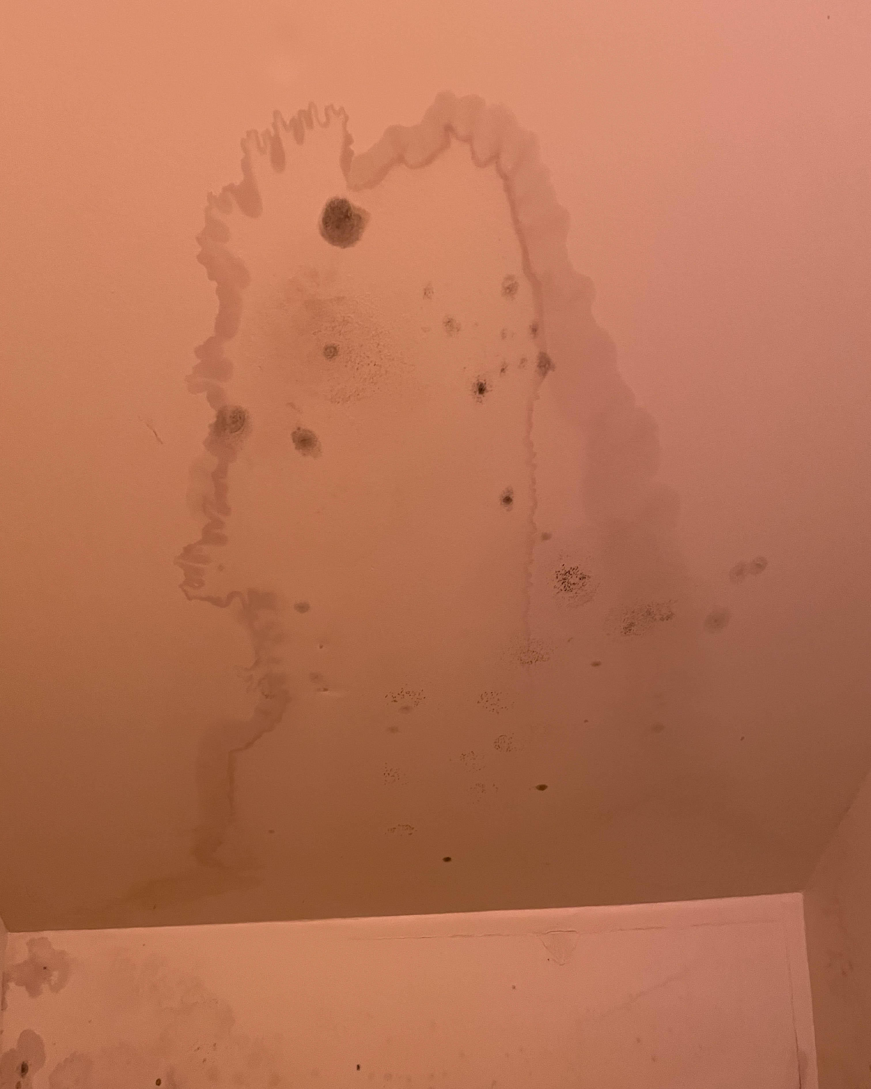 Mold is more likely to grow in unexpected places after water damage. If you ignore the mold, it may spread and continue to grow. SERVPRO of West Knoxville is your best choice for all of your mold cleanup and remediation needs in Ebenezer, TN. Give us a call today!