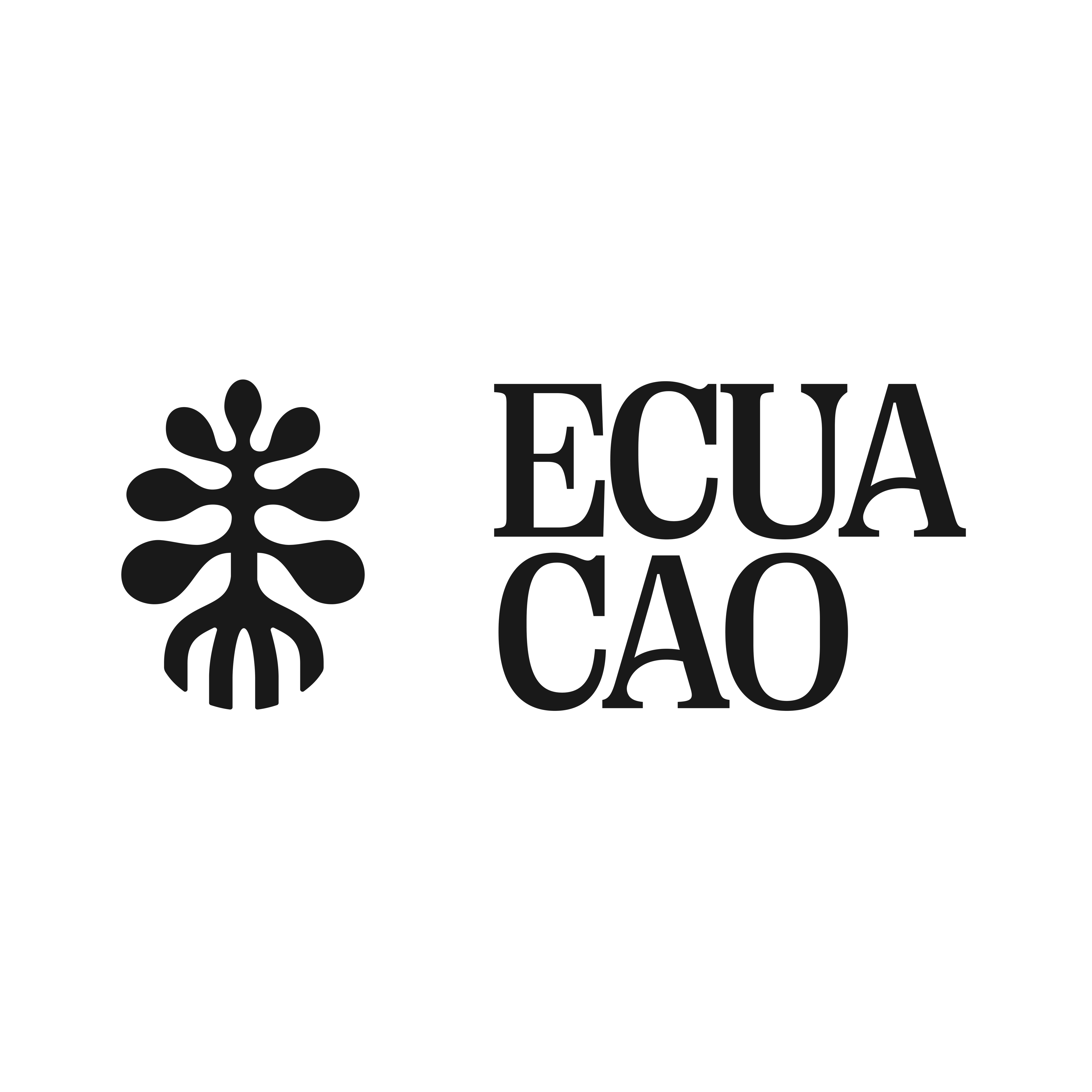 Ecuacao Swiss SA Logo