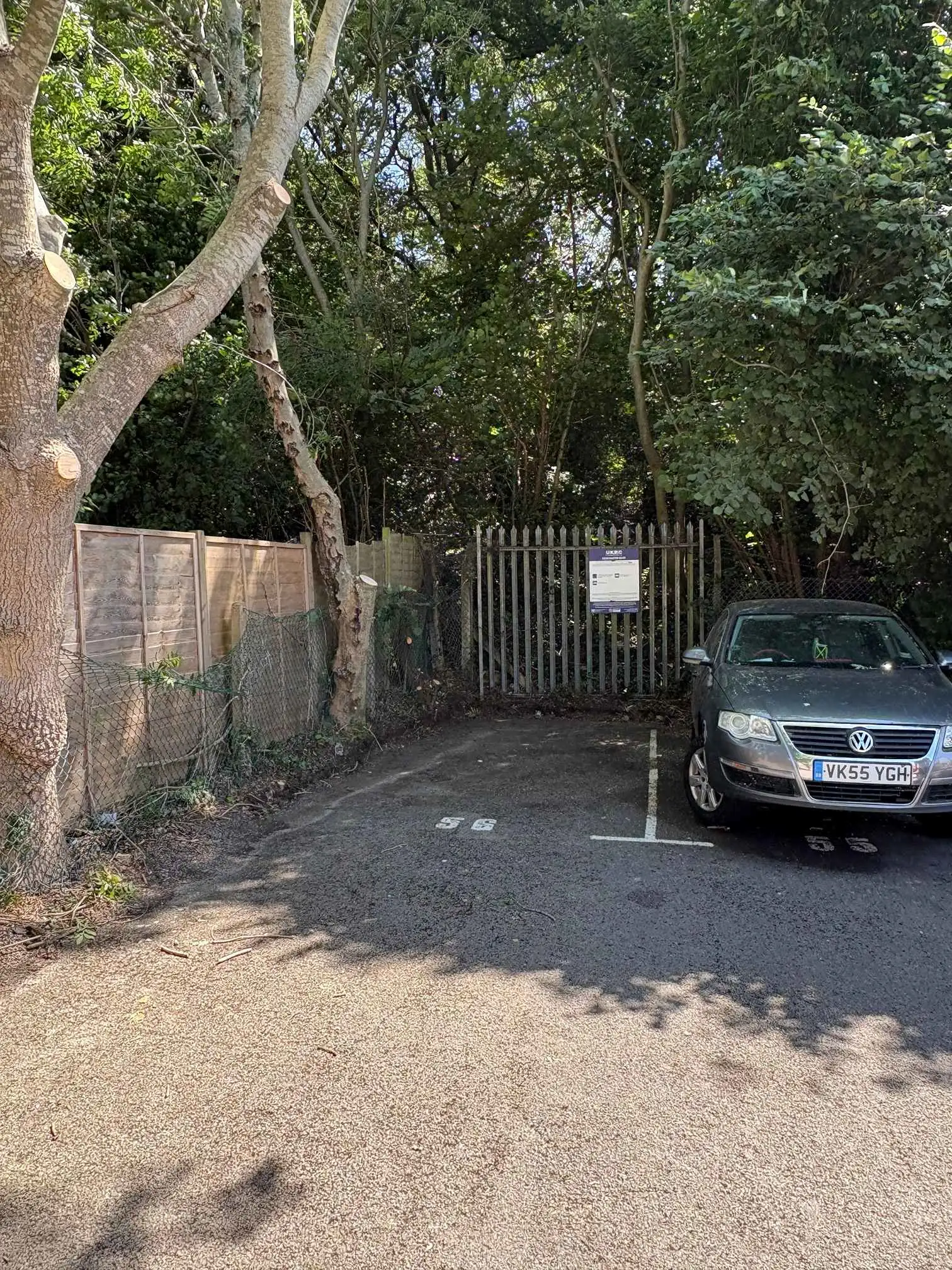 Images Arborist Tree Surgeons