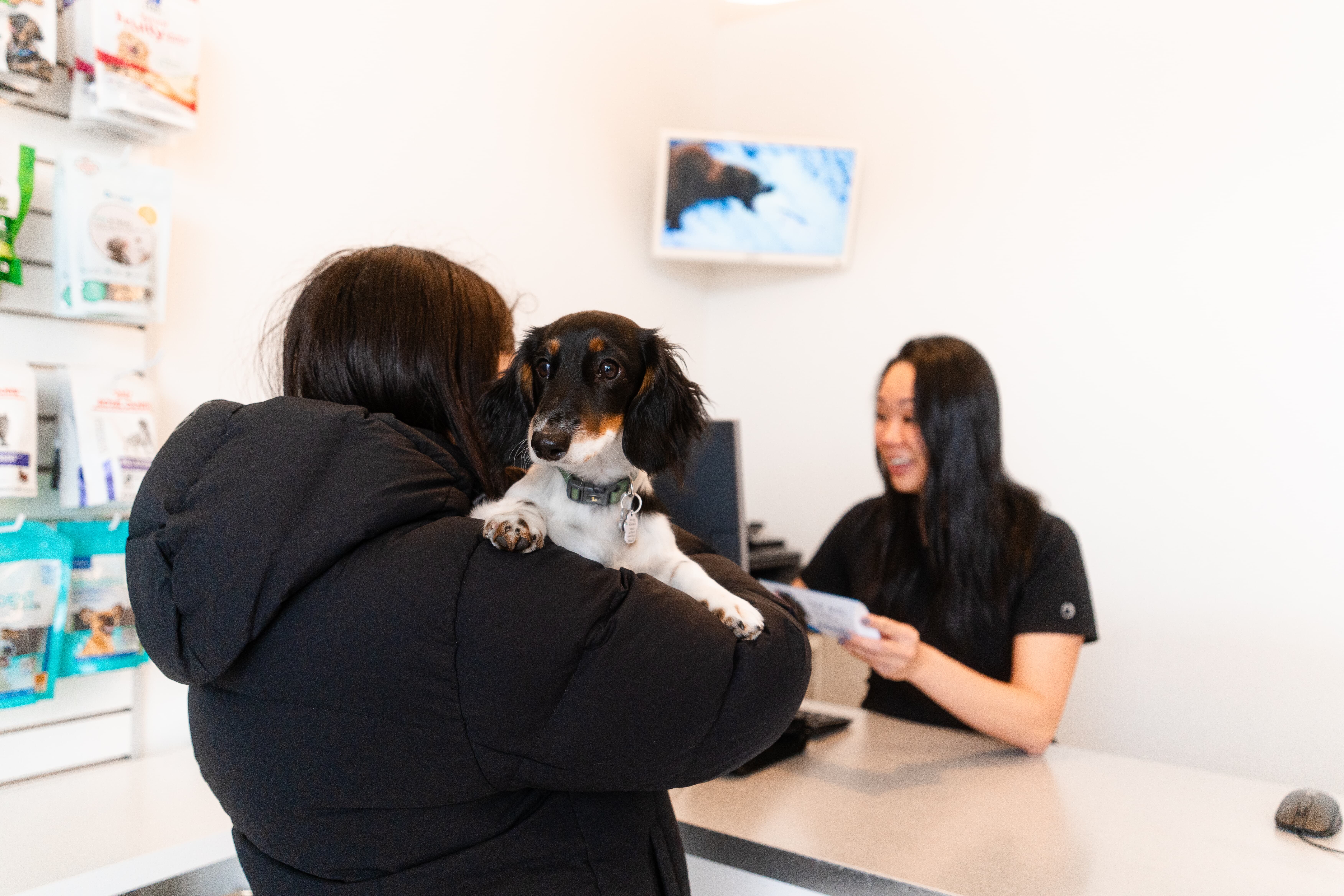 Images Clinique Vétérinaire Quartier Dix30