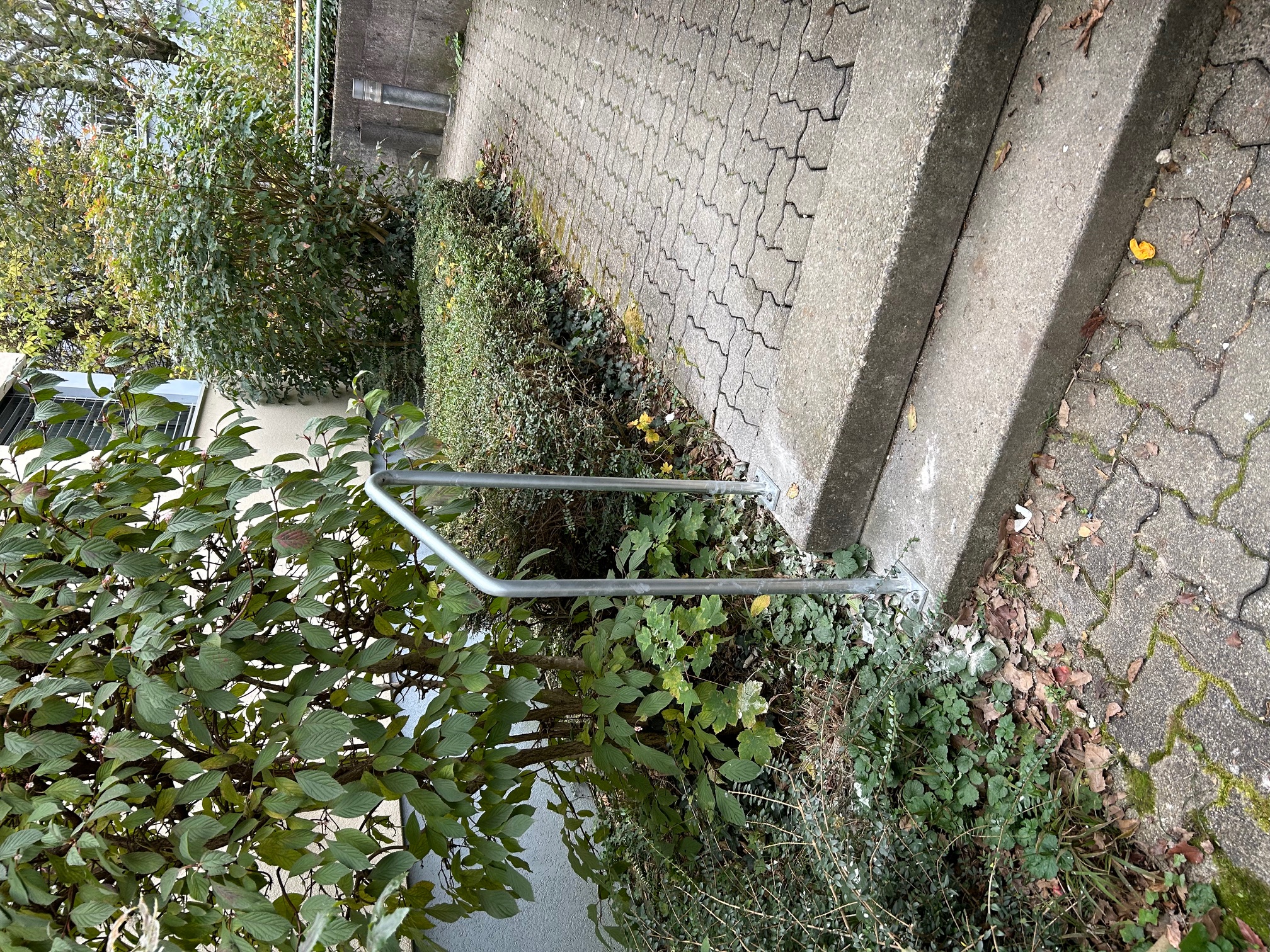 Bilder NYFELER AG