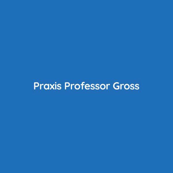 Kundenlogo Praxis Professor Gross Internist