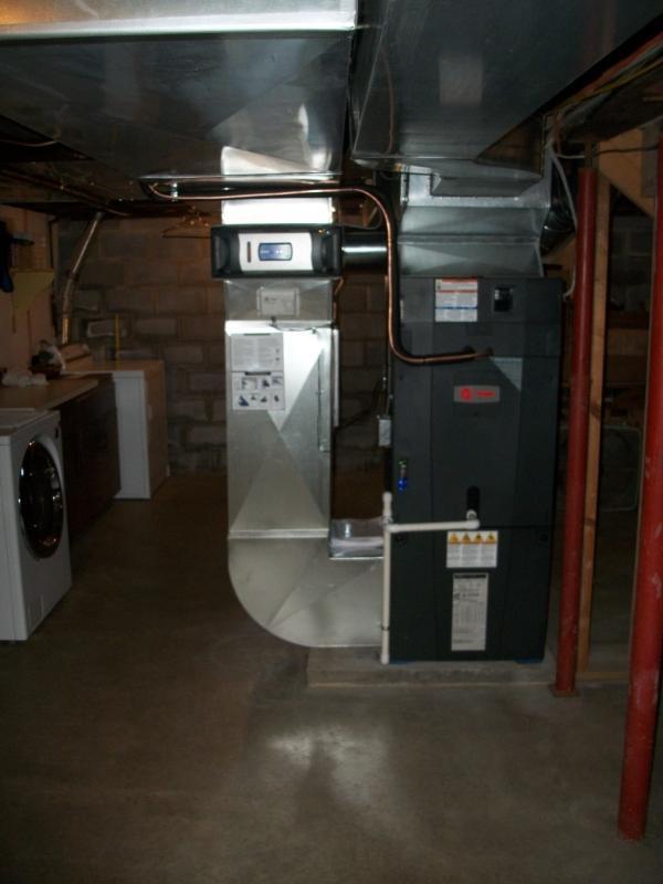 600x800.jpg