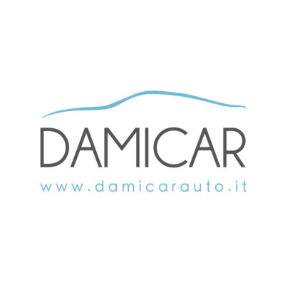Damicar Logo