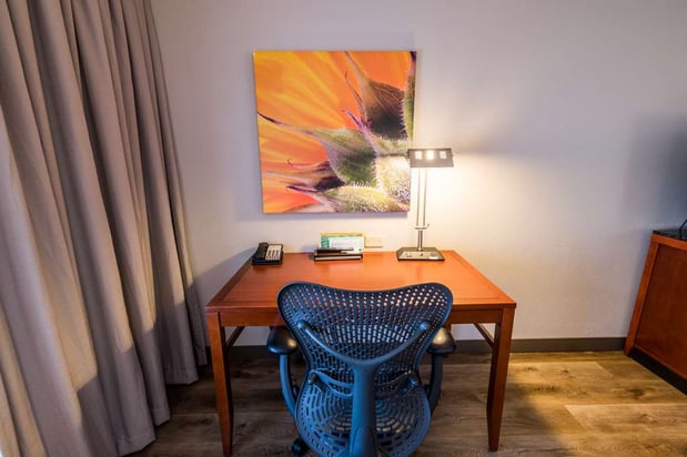 Images Hilton Garden Inn Bowling Green