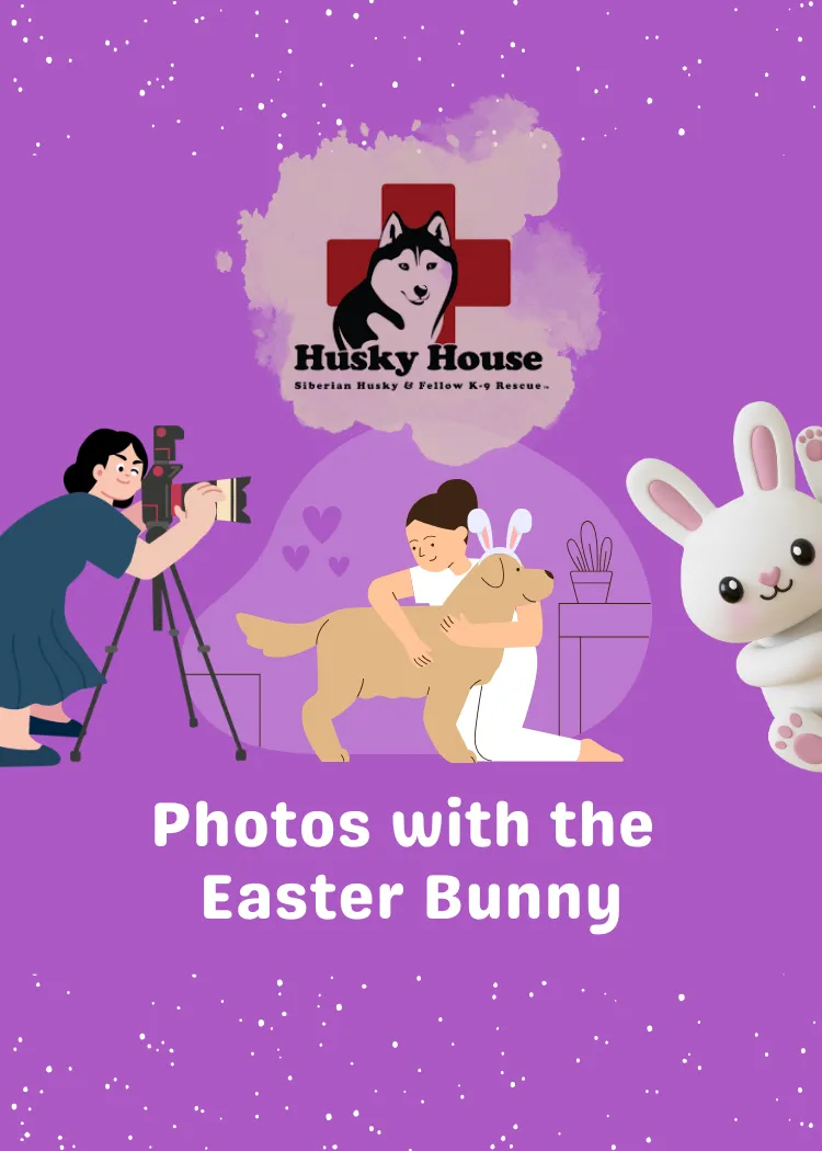 Image of Local Pet Event Photos w/the Easter Bunny Nearby