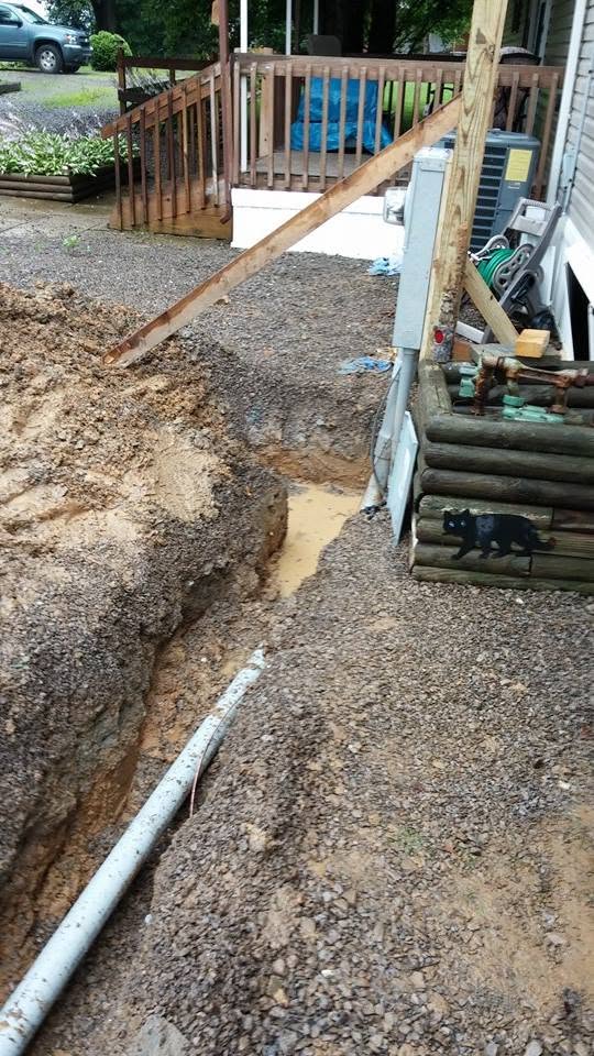 Webber's Electric Image