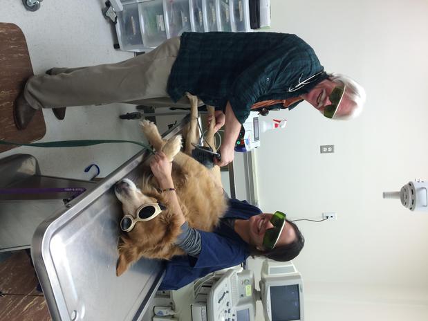 Images Village Veterinary Clinic