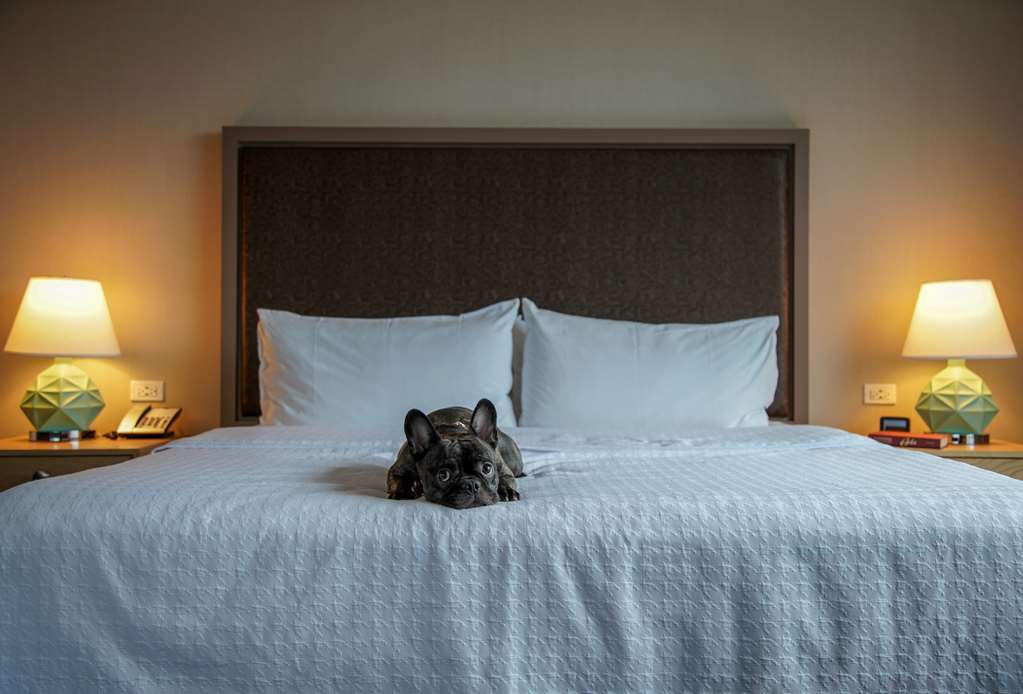 Guest room