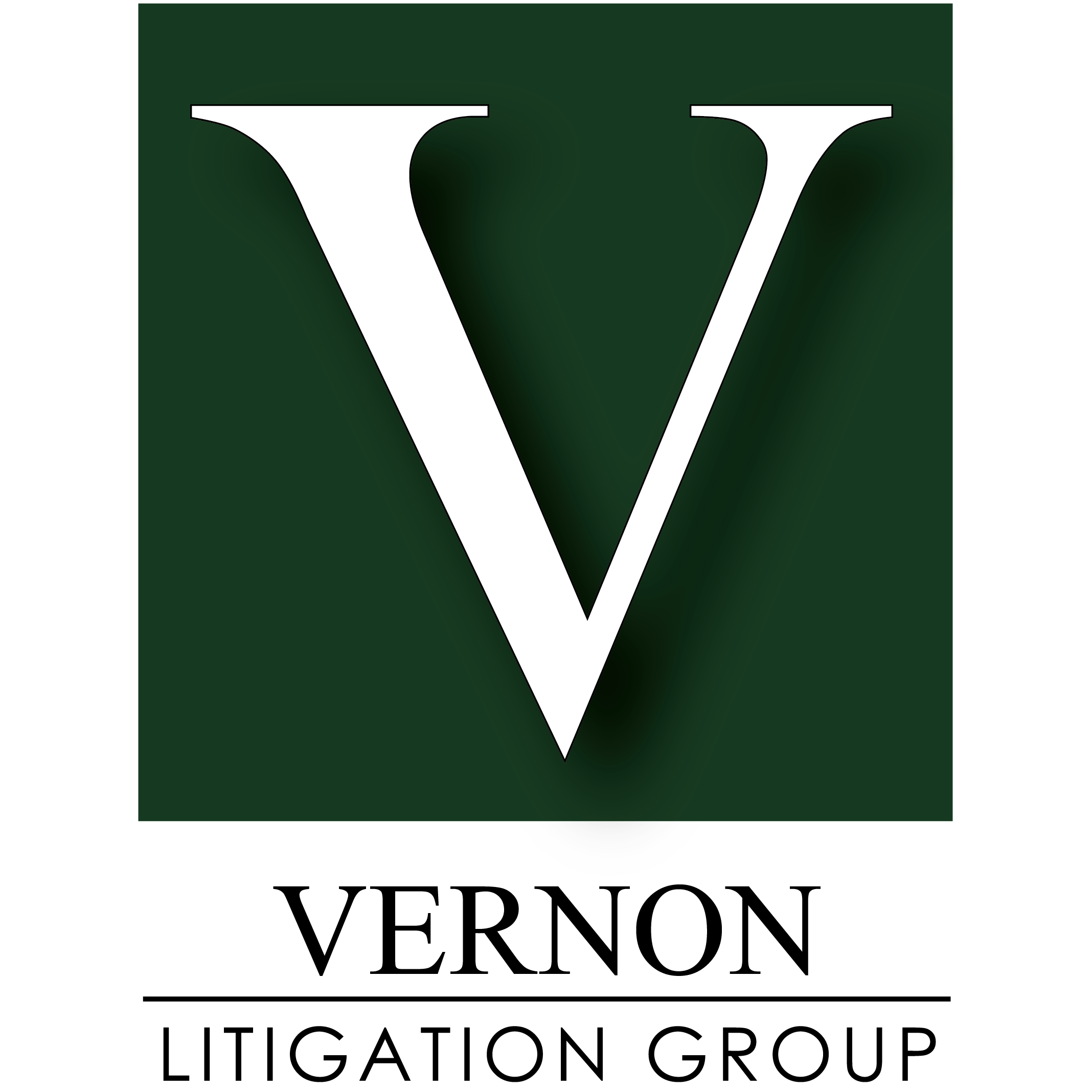 Business Logo for Vernon Litigation Group Vernon Litigation Group Naples (239)649-5390