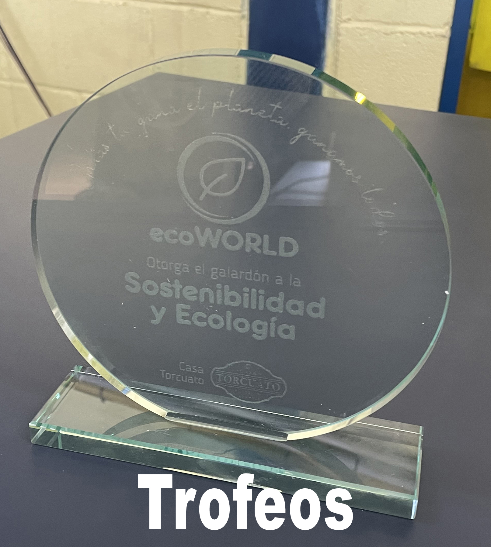 Images Soluciones Gráficas S.XXI