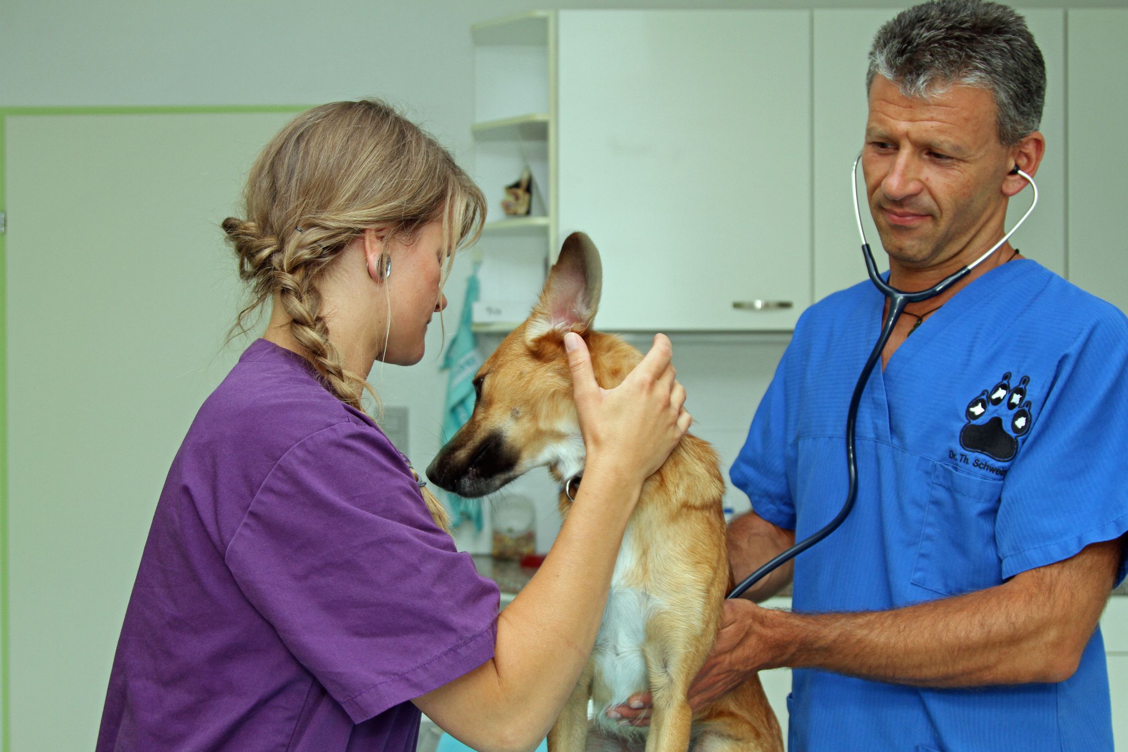 Bilder Kleintier- und Pferdepraxis im Dorf AG