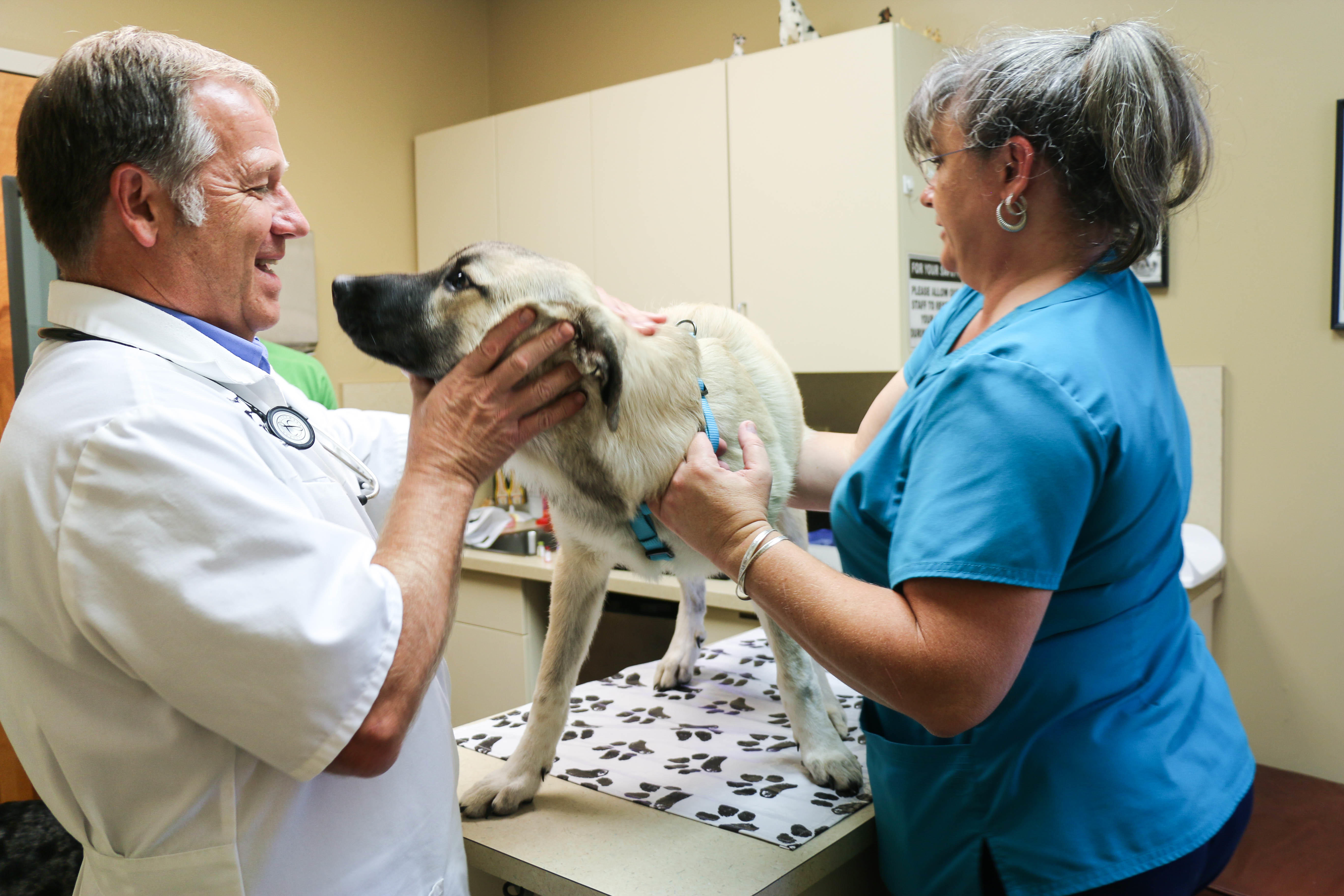 Dr. Willie Smith begins a physical exam on his adorable canine patient.