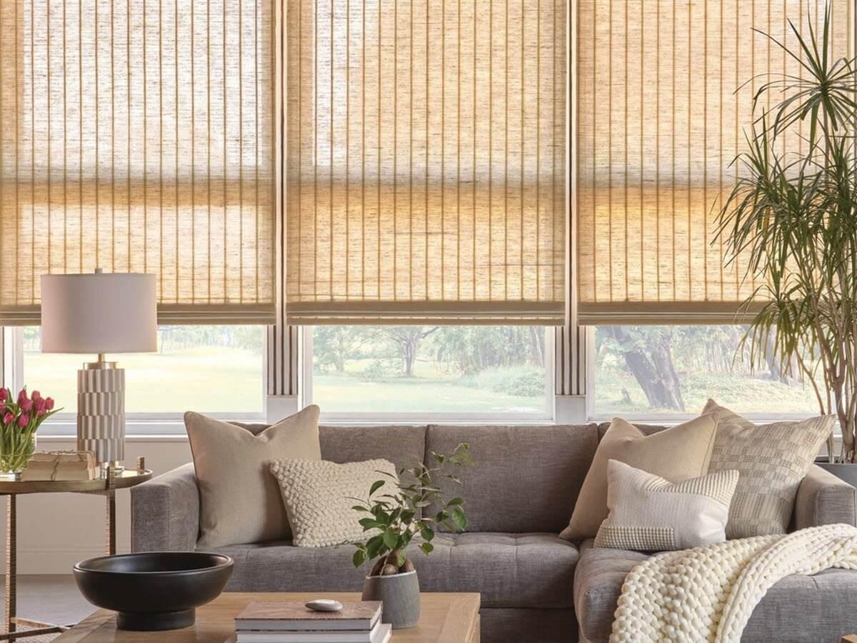 Hunter Douglas vertical blinds