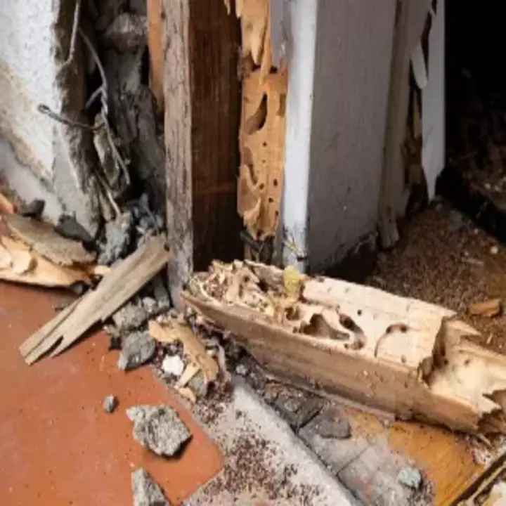 Images Safe Home Restoration