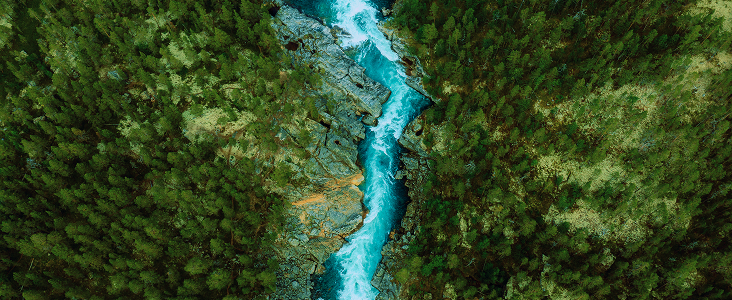 A river surrounded by trees and mountains, as seen from above.
