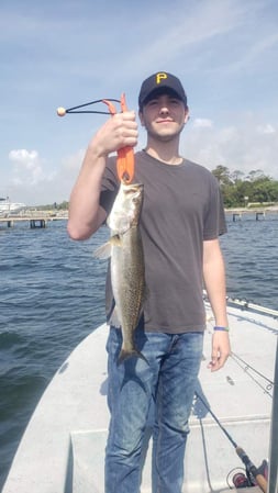 Images E-6 INSHORE FISHING ADVENTURES, LLC