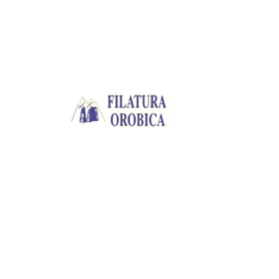 Filatura Orobica Srl Logo