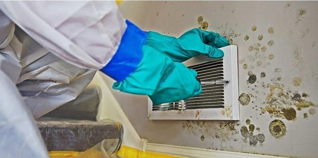 Images Healthy Duct Property Services