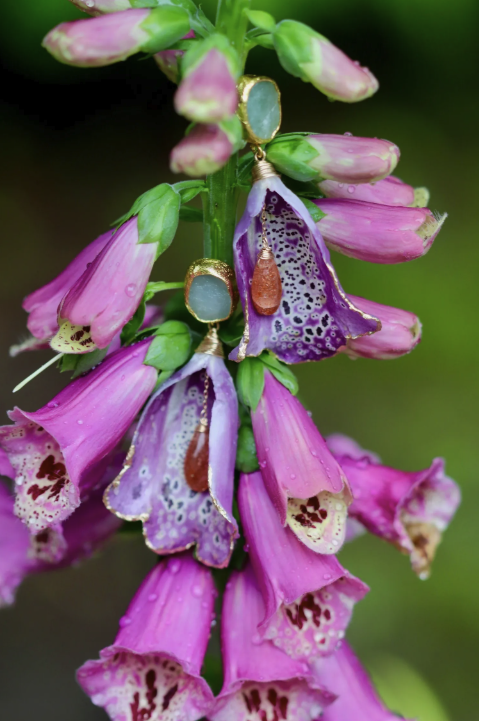 Images Hillary Jackson Designs