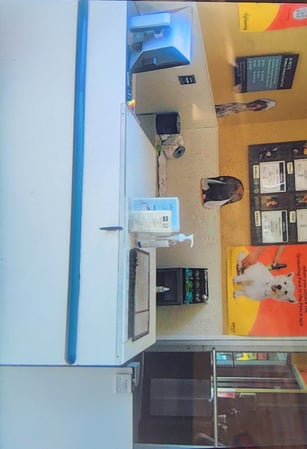 Images Petco